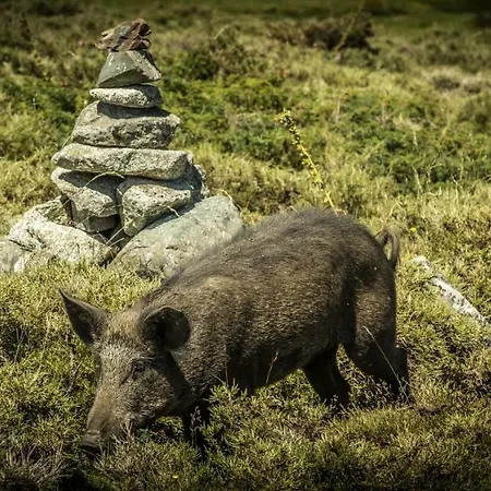 Bed and Breakfast U San Larenzu