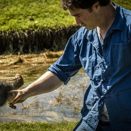 Bed and Breakfast U San Larenzu Aullene