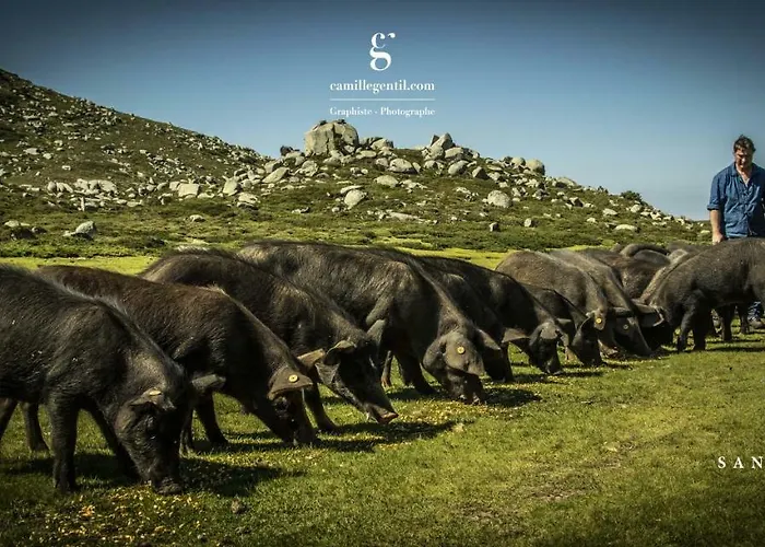 Bed & Breakfast U San Larenzu