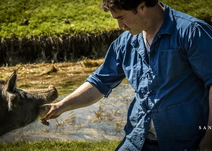 Bed & Breakfast U San Larenzu Aullene